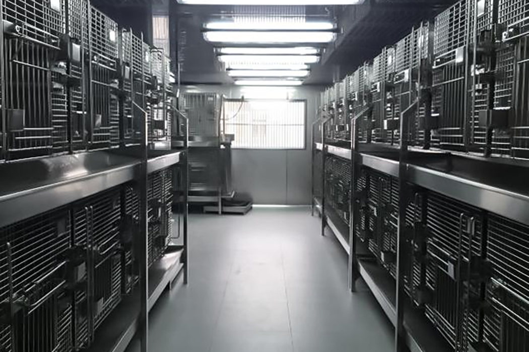 吉林大學動物房實驗室建設(shè)