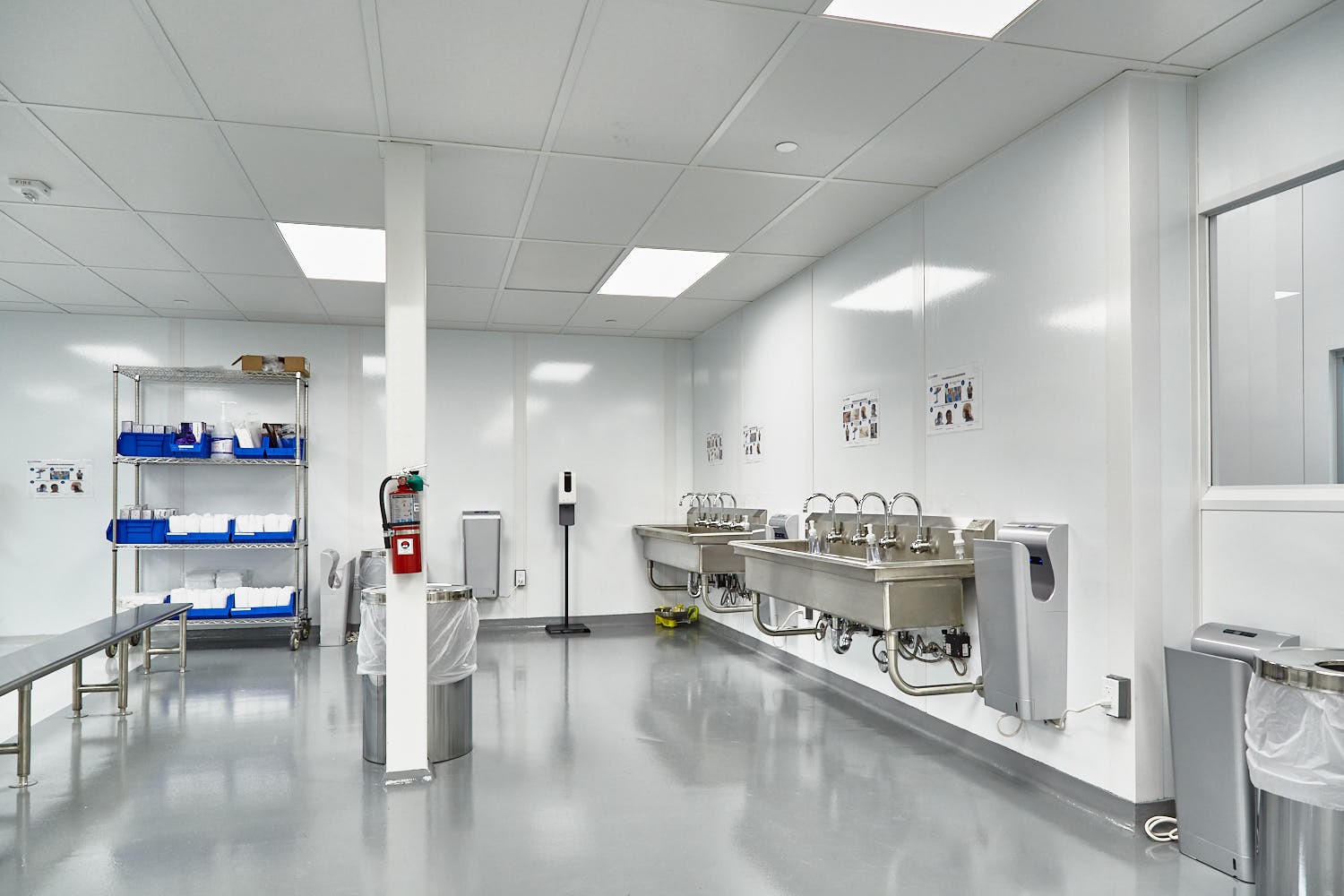 研究揭示轉運蛋白ABCG2通過外排衣康酸抑制巨噬細胞抗菌天然免疫 研究揭示轉運蛋白ABCG2通過外排衣康酸抑制巨噬細胞抗菌天然免疫