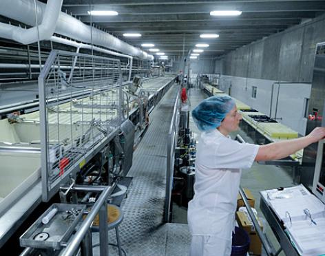 食品飲料無(wú)菌凈化工程：建設(shè)施工與空氣凈化